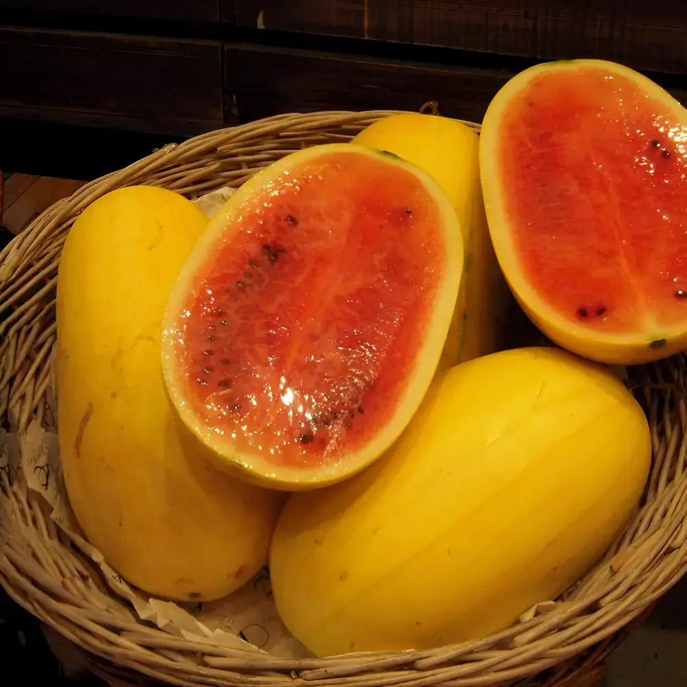 Golden Red Watermelon Seeds