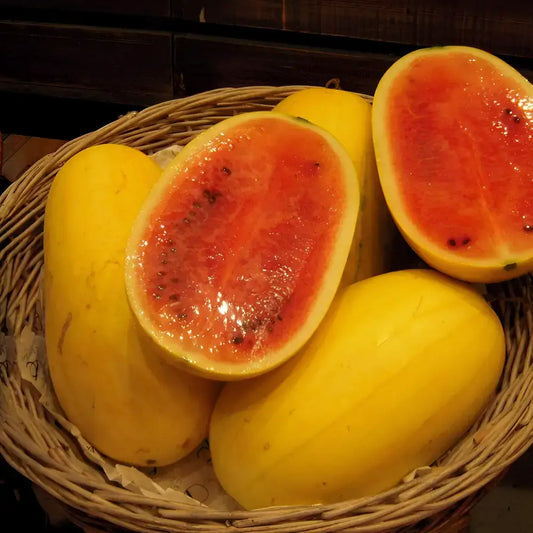 Golden Red Watermelon Seeds