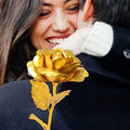 Golden Rose