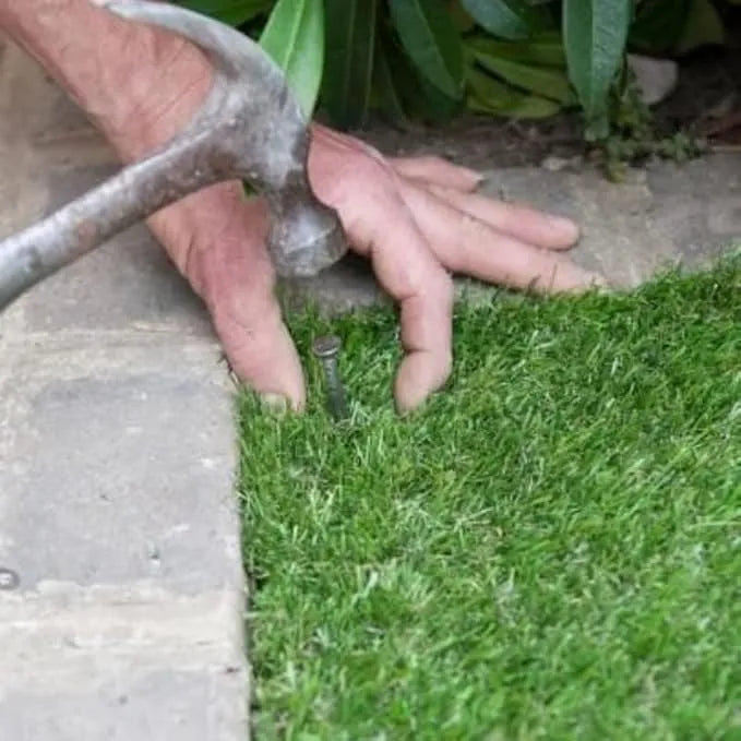 Grass Seeds Hybrid home decor