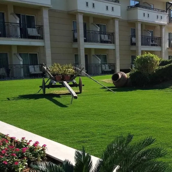 Grass Seeds Hybrid home decor