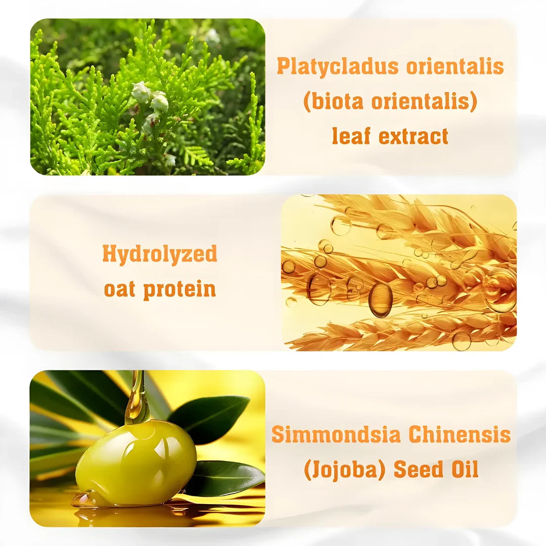 Hair Loss Treatment Shampoo 100ml