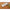 Best handheld grater stainless steel - food graters | 2025 | fast shipping