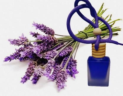 Hanging Car Perfume Pods Diffuser Scent car accessories