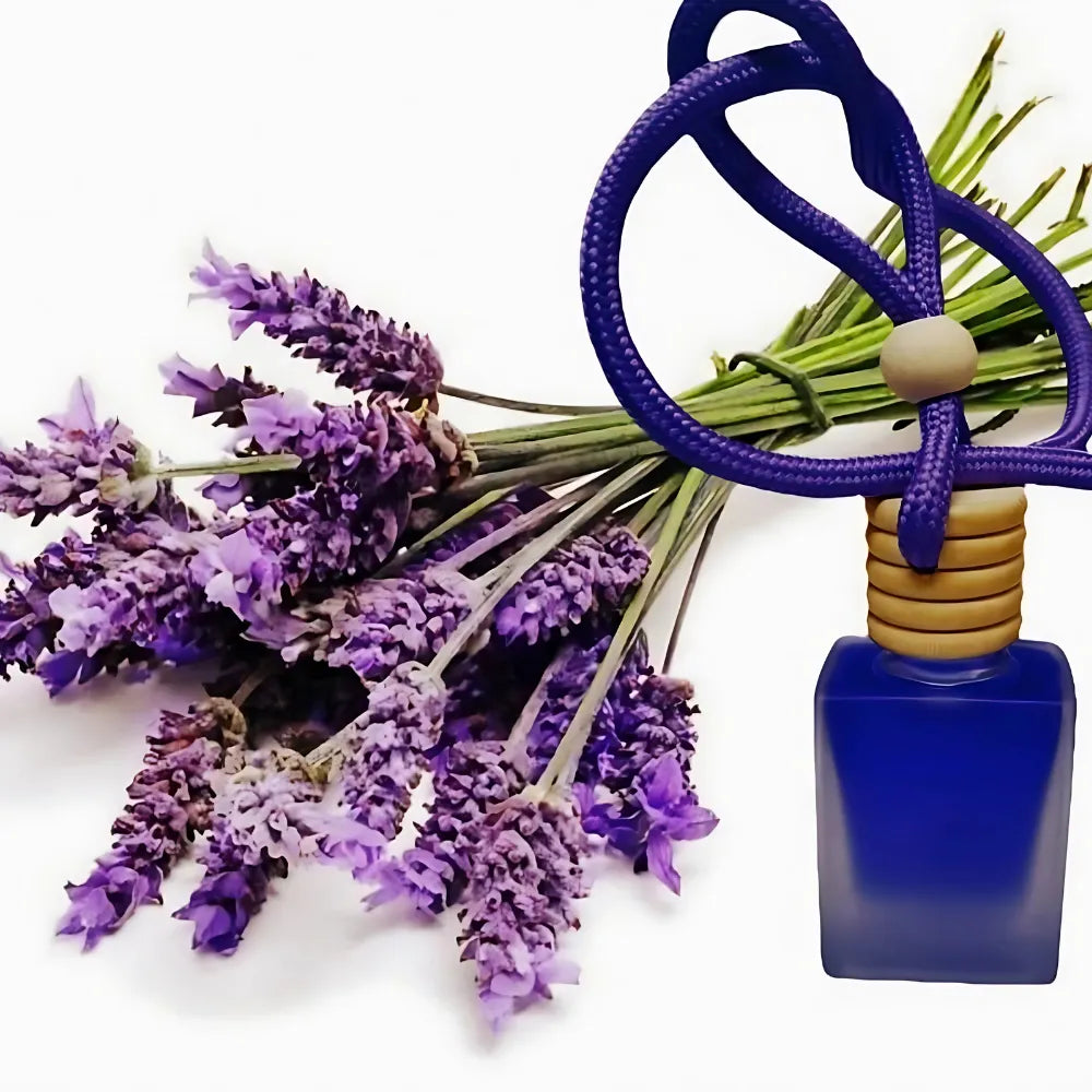 Hanging Car Perfume Pods Diffuser Scent (Pack of 1 Assorted Perfume)