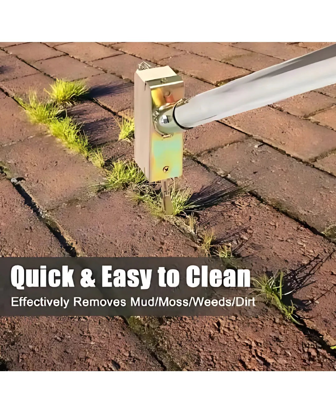 Hard Wire Weed Removal Brush Tool