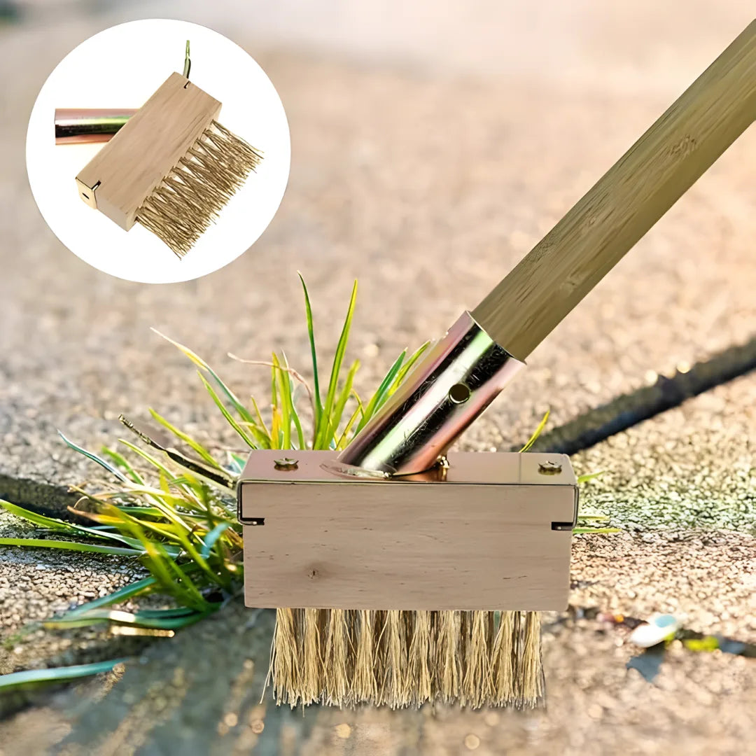 Hard Wire Weed Removal Brush Tool