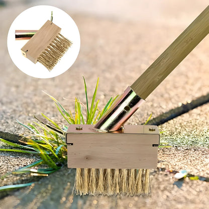 Hard Wire Weed Removal Brush Tool