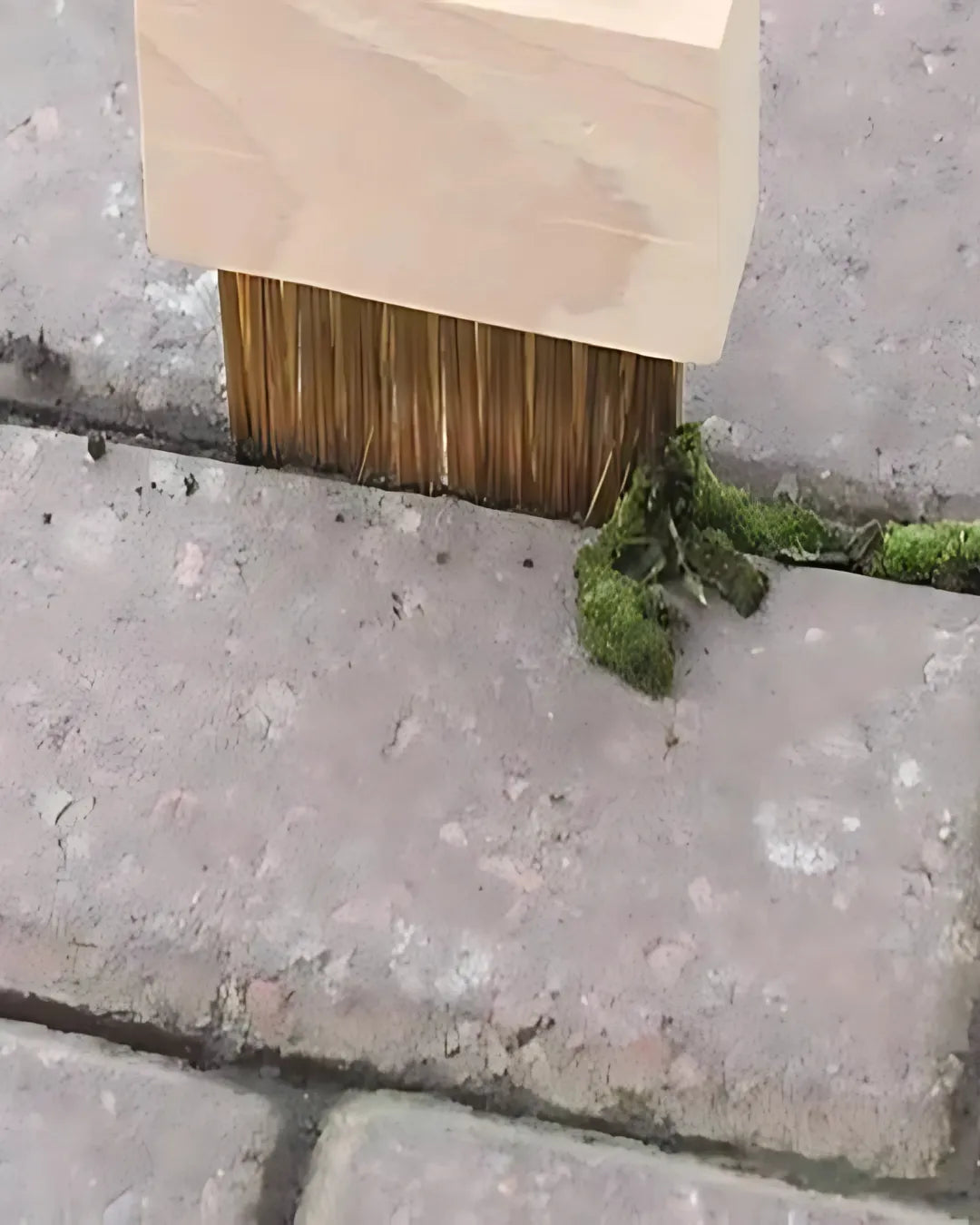 Hard Wire Weed Removal Brush Tool