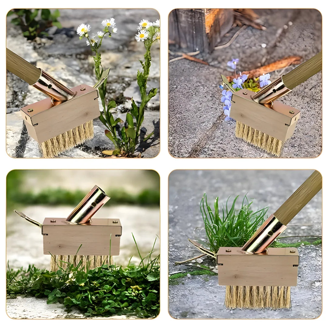 Hard Wire Weed Removal Brush Tool