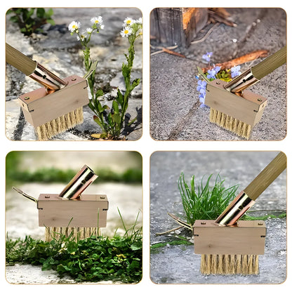 Hard Wire Weed Removal Brush Tool