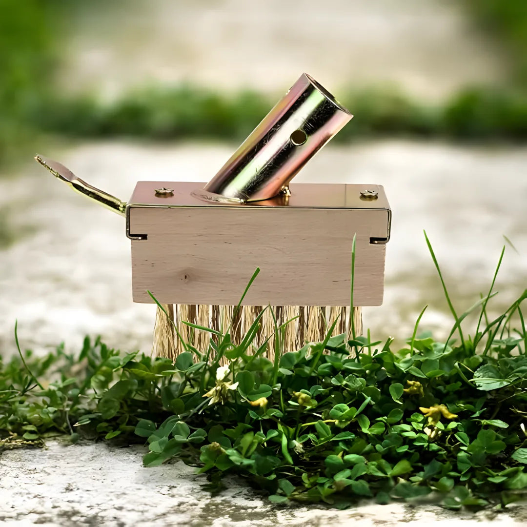 Hard Wire Weed Removal Brush Tool