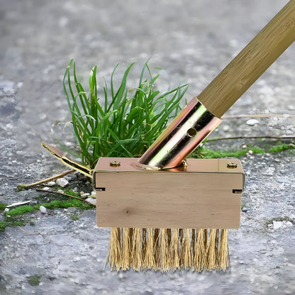 Hard Wire Weed Removal Brush Tool