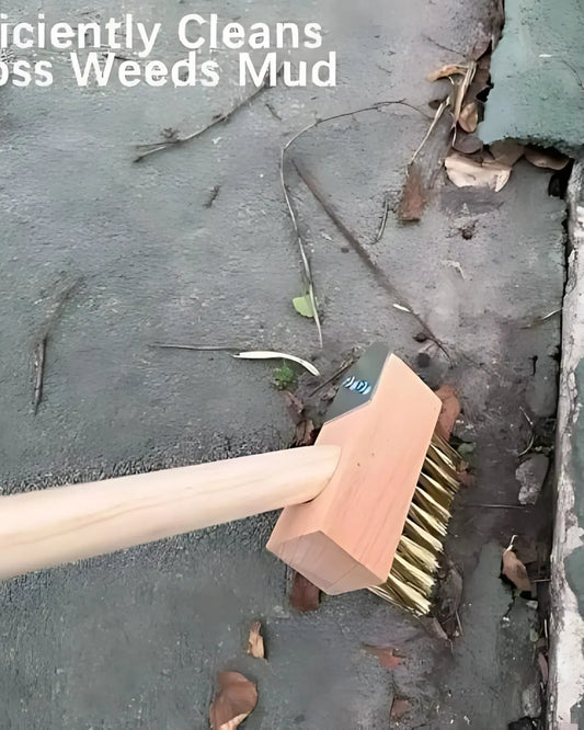Hard Wire Weed Removal Brush Tool