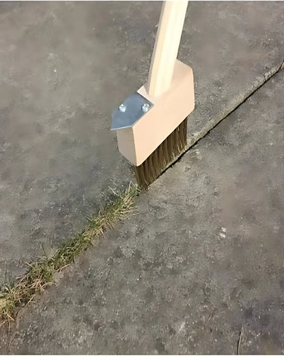 Hard Wire Weed Removal Brush Tool
