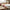 Best heat-resistant silicone cooking forks - 2026 | fast shipping
