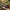 Best heavy duty garden tools - cultivators | 2026 | fast shipping