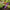 Best heavy duty garden tools - cultivators | 2026 | fast shipping