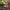 Best heavy duty garden tools - cultivators | 2026 | fast shipping