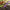 Best heavy duty garden tools - cultivators | 2026 | fast shipping