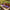 Best heavy duty garden tools - cultivators | 2026 | fast shipping