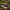 Best heavy duty garden tools - cultivators | 2026 | fast shipping