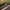 Best heavy duty garden tools - cultivators | 2026 | fast shipping