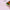 Heavy-Duty Plastic Cutlery (Pack of 2) - Home & Kitchen