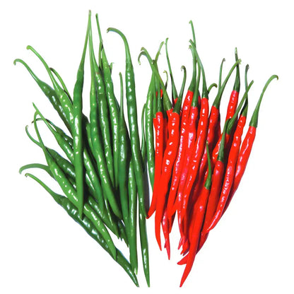 High Yield Hybrid Chilli