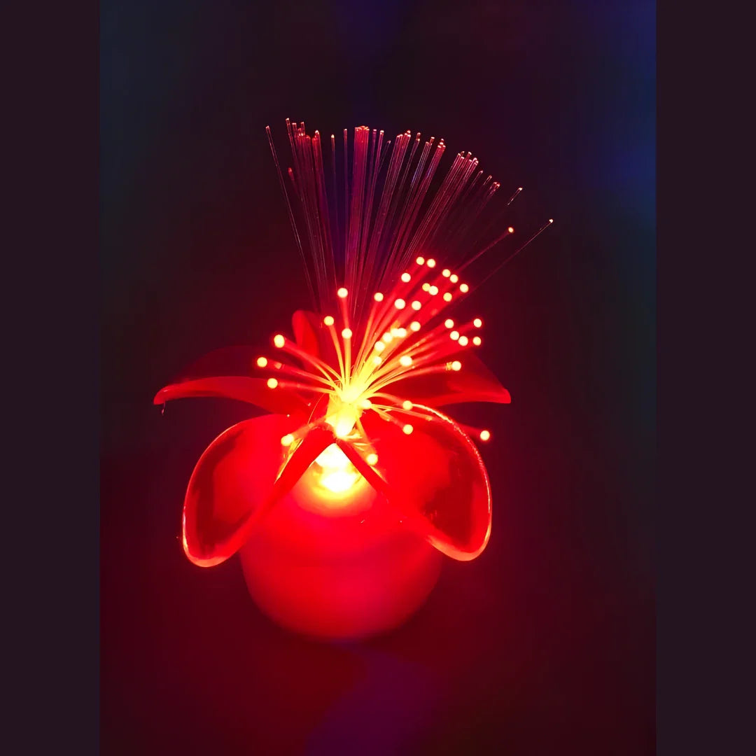 Home Decoration Diwali Christmas