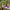 Best home gardening tools for plants - cultivating | 2026 | fast shipping