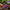 Best home gardening tools for plants - cultivating | 2026 | fast shipping