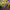 Best home gardening tools for plants - cultivating | 2026 | fast shipping