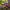 Best home gardening tools for plants - cultivating | 2026 | fast shipping