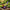 Best home gardening tools for plants - cultivating | 2026 | fast shipping