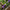 Best home gardening tools for plants - cultivating | 2026 | fast shipping