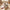 Best hourse pull along toddler toy - push & toys | 2026 | fast shipping