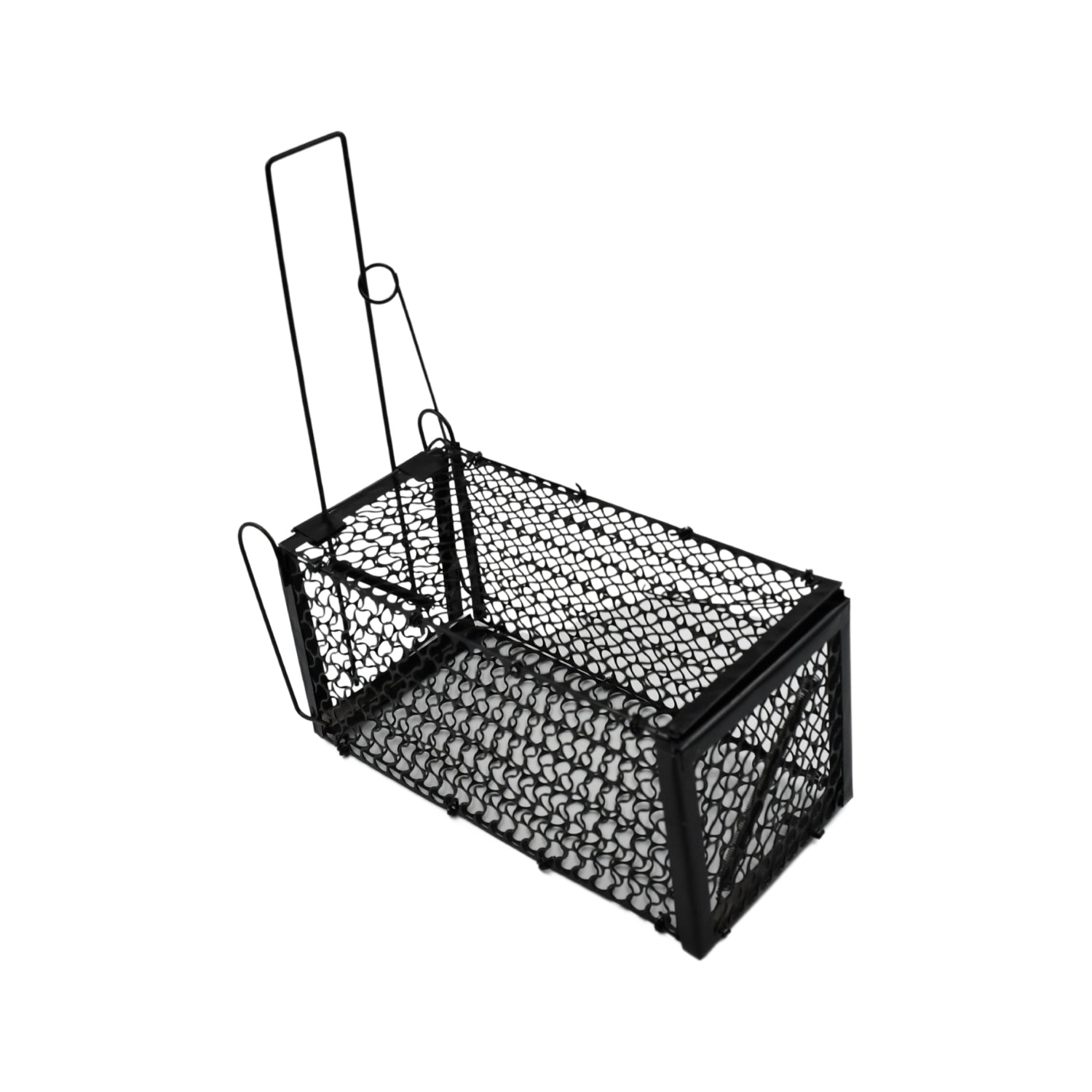Best humane live catch trap - pet supplies | 2025 | fast shipping