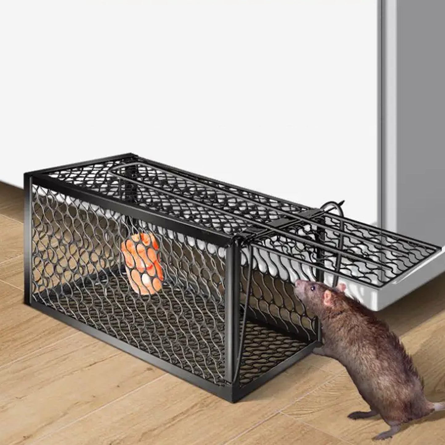 Best humane live catch trap - pet supplies | 2025 | fast shipping