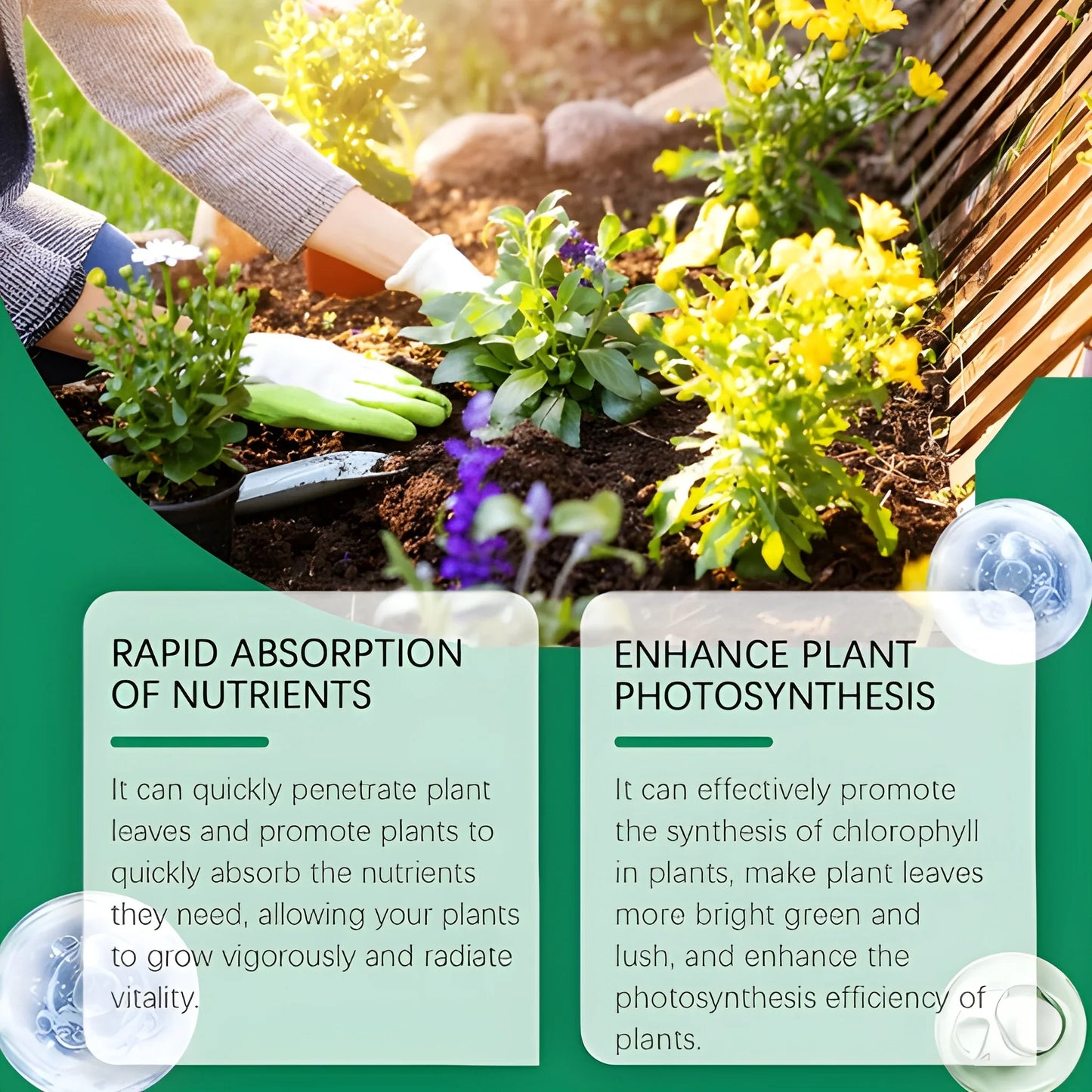 Instant Green Leaf Spray