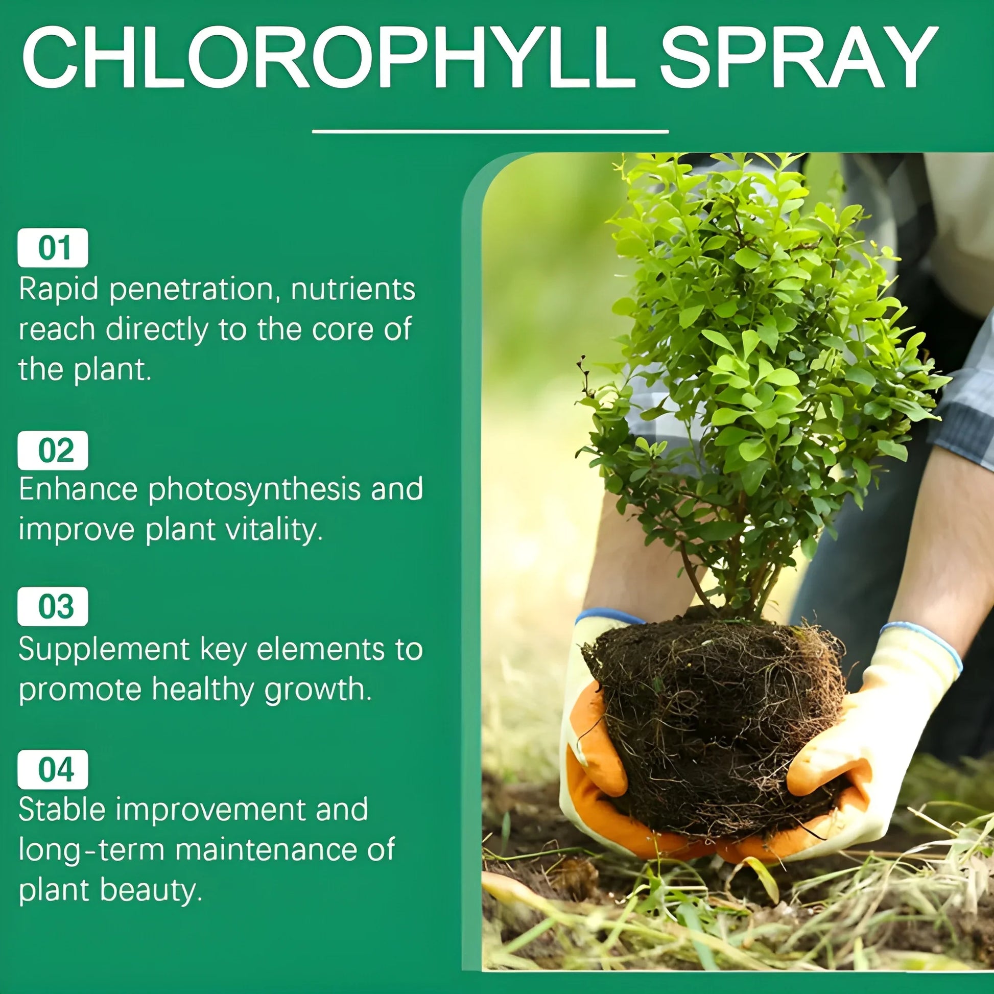 Instant Green Leaf Spray