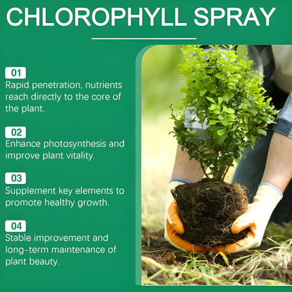 Instant Green Leaf Spray