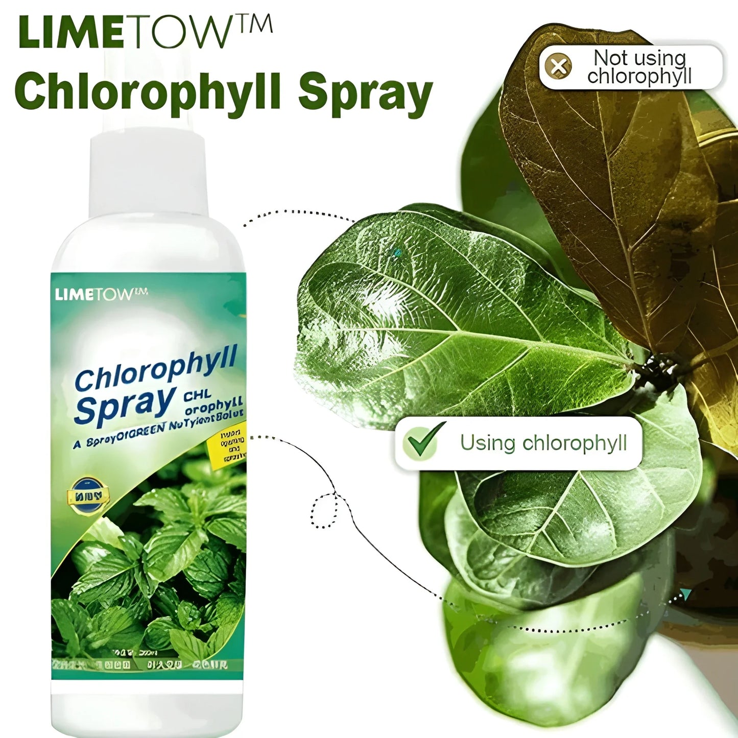Instant Green Leaf Spray
