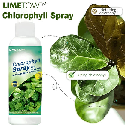 Instant Green Leaf Spray