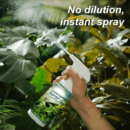 Instant Green Leaf Spray