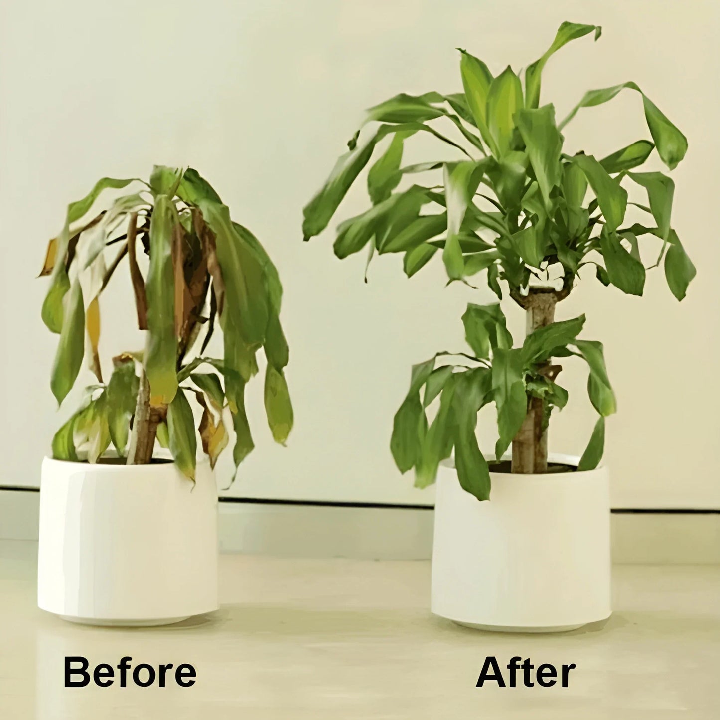 Instant Green Leaf Spray