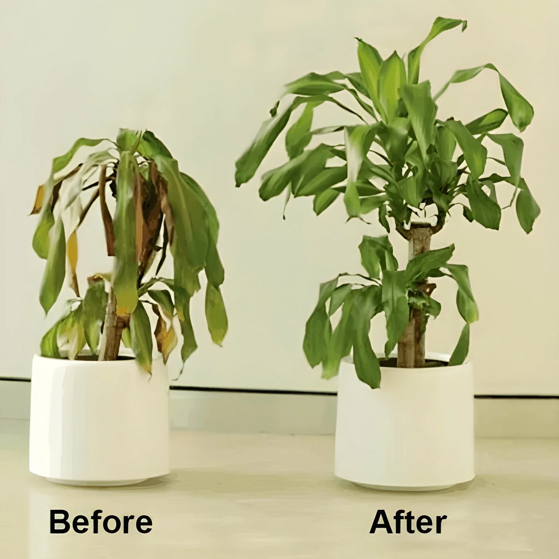 Instant Green Leaf Spray