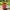 Best insulated water jug - bottles | 2026 | fast shipping