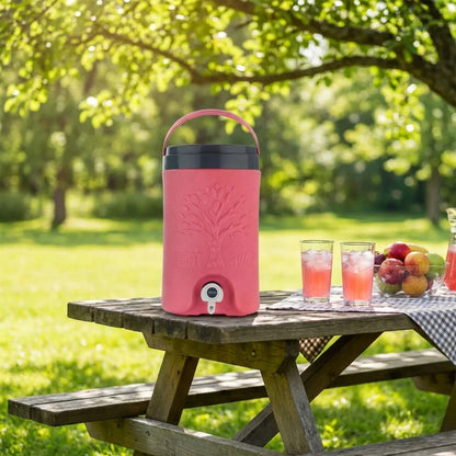 Best insulated water rover jug - bottles | 2026 | fast shipping