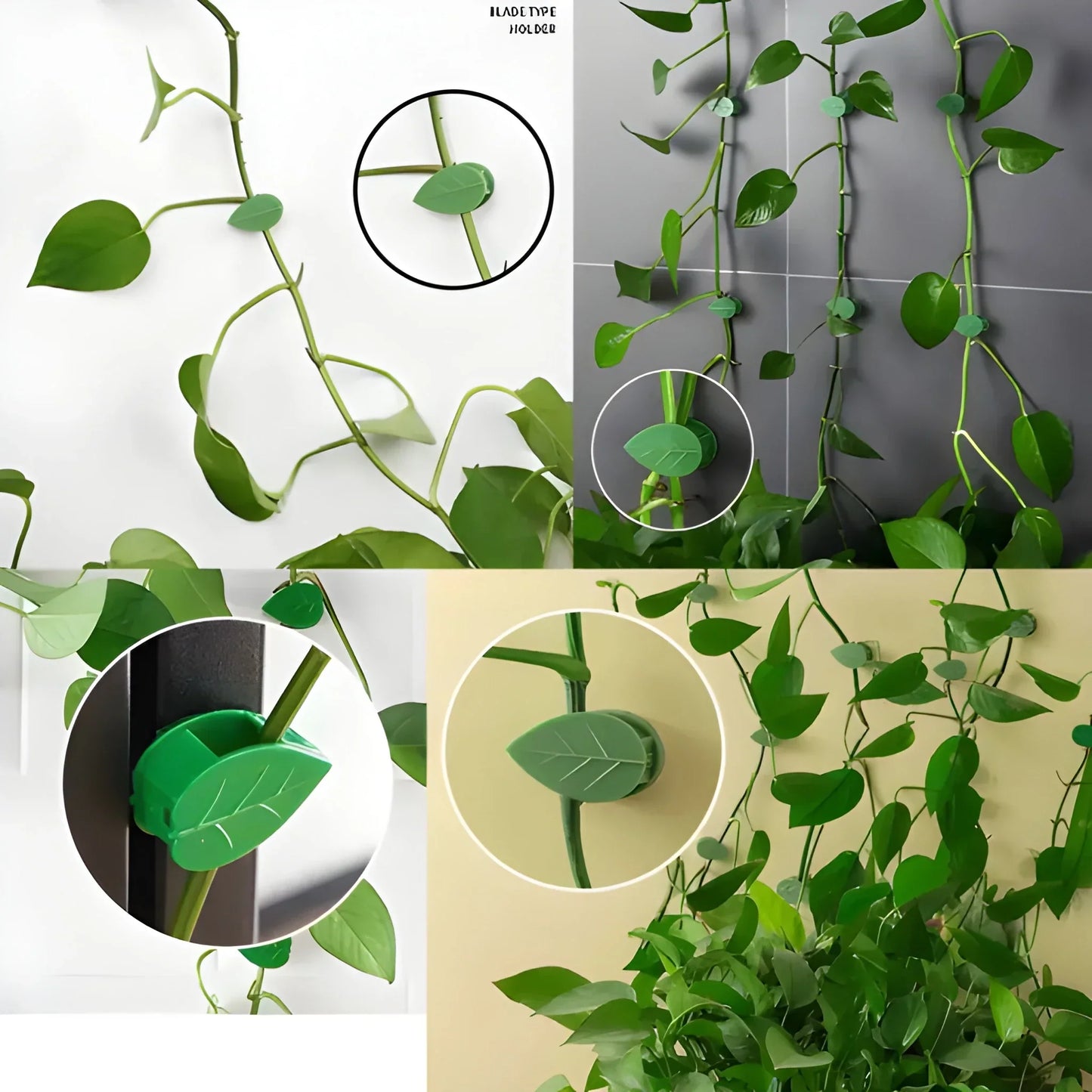 Invisible Plant Support Clips - Garden & Outdoors